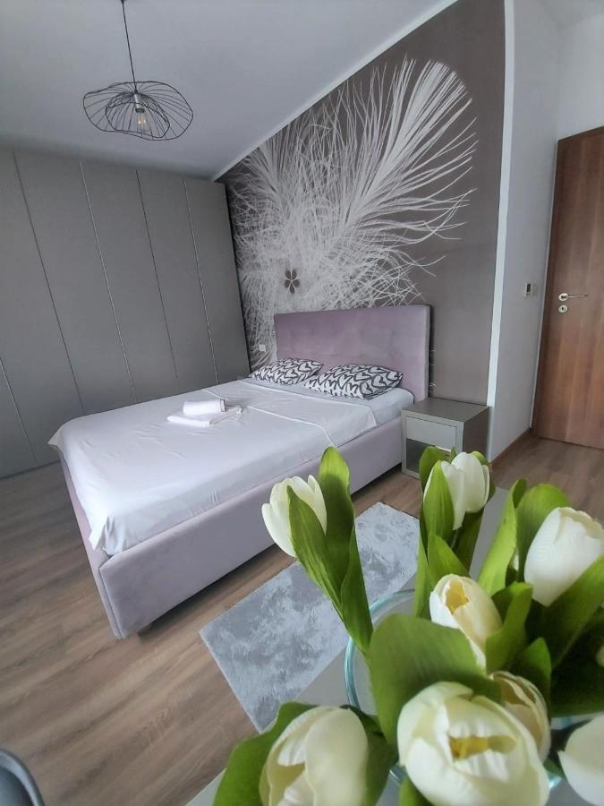 Paula Apartment Dumbravita  외부 사진